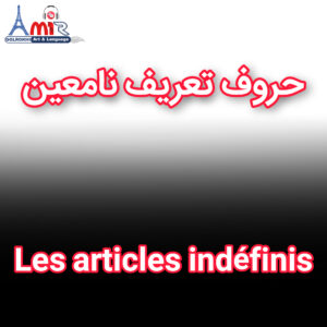 آموزش جامع حروف تعریف نامعین زبان فرانسه با استاد امیر گلرخی بصورت ویدیویی و رایگان | Les articles indéfinis