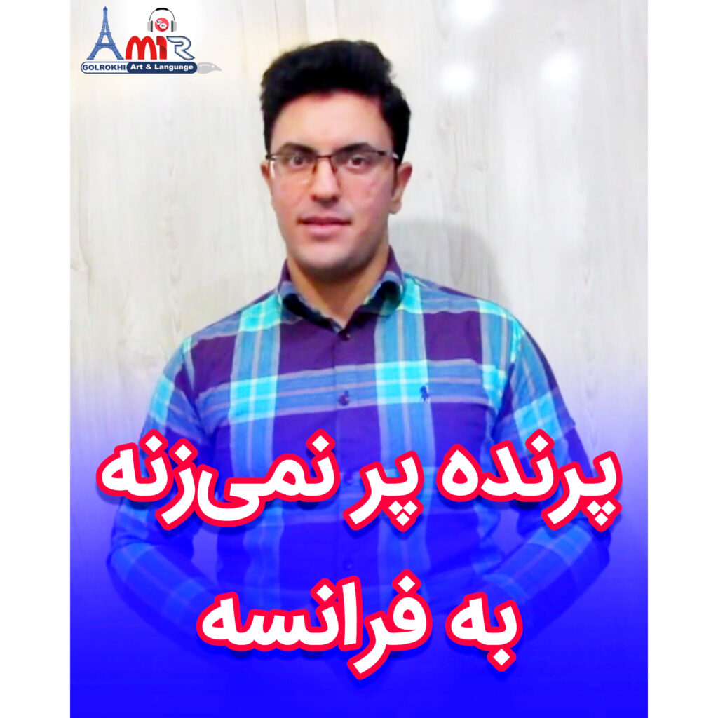 اصطلاح "پرنده پر نمی‌زنه" به زبان فرانسه با استاد امیر گلرخی بصورت ویدیویی و رایگان | Il n'y a pas un chat
